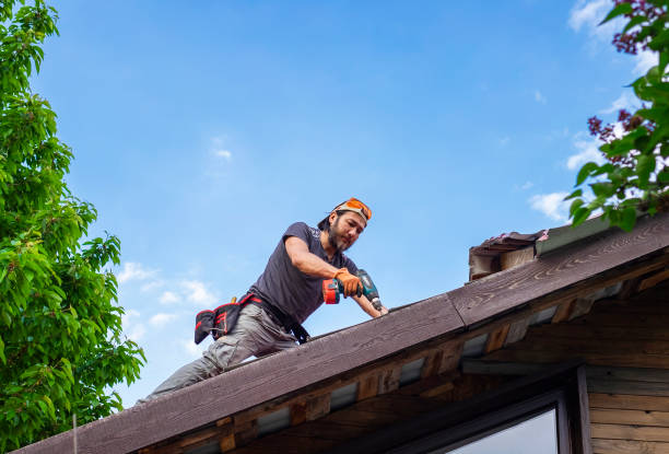 Best Sheet Metal Roofing  in St James, MN